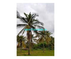 32 Gunta Coconut Farm For Sale Near Shivagange Temple