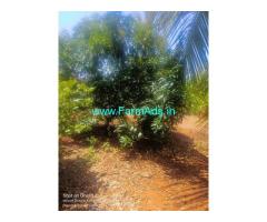 8 Acre Coconut Land For Sale Near Begur