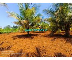 8 Acre Coconut Land For Sale Near Begur