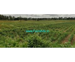 3 acre Farm Land for Sale near Ibjaalu village