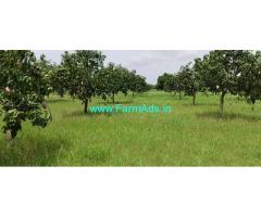 15 Acres Well developed mango property for sale near Kolar Town