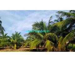 2 acres Beautiful coconut farm for sale in Udumelpet