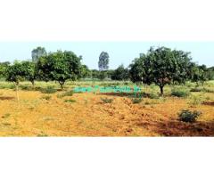 1 Acre 22 Gunta Farm Land Sale Near Kolar Srinivasapura Highway