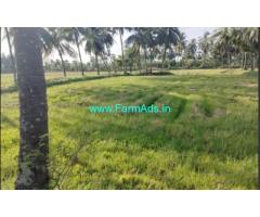 25 cents agriculture land for sale at Kolanka village