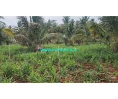 1 Acre 33 Gunta Agriculture Land For Sale near Mysore