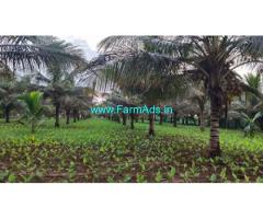 7 Acres Agricultural Land For Sale Near Gaddige Road Mysore