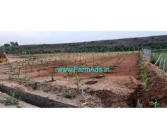9.15 Acres developed farm land for sale near Koratagere