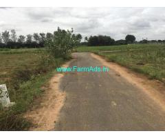 1.20 Acre Farm Land For Sale In Vijayapura