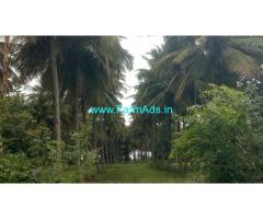 7.5 Acres Coconut farm 25 kms from Mysore Towards Nanjangud road