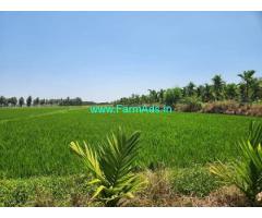 1 acre Agriculture land for sale near Davanagere