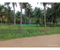 1.10 Acre Beautiful Coconut Farm For Sale Near Mysore
