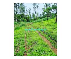 3 Acre Land For Sale In Bisle Road Sakleshpura