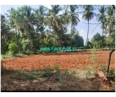 Urgent Sale 2 Acres Land Farm Land For Sale In Challakere