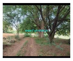 Urgent Sale 2 Acres Land Farm Land For Sale In Challakere