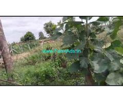30 Guntas Agriculture Land For Sale Near Nangunur Mandal