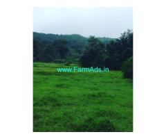 6 Acre Paddy Farm Land For Sale In Mudigere