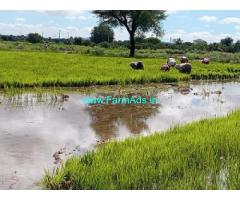 70 Acres  Agricultural Land For Sale Near Dugyala Village