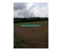 8.5 Acres Agricultural Land For Sale In Palakkad Alathur