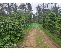 6 acre well maintained Robusta and pepper plantation sale in Belur