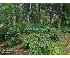 4.5 acre plantation sale in Belur