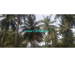 5.20 Acre Farm Land For Sale Near Nagavalli Village