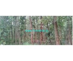 52 Acre teak plantation for sale near Malavalli