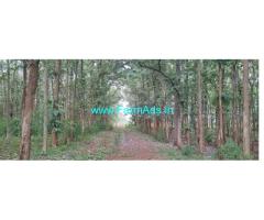 52 Acre teak plantation for sale near Malavalli