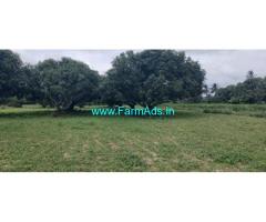 1.5 acre Mango Farm Land for Sale near Mysore
