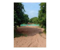 42 Acres Mango Farm Land For Sale near Yadagiri