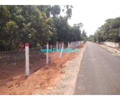 36 Cent Mango Farm Land For Sale At Vennangupet Village