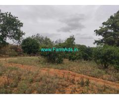 19.20 Acres Farm Land For Sale Near Bagepalli
