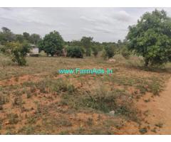19.20 Acres Farm Land For Sale Near Bagepalli