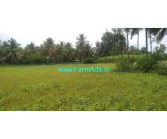 Very Urgent 1 Acre Agriculture Land For Sale Near Nagamangala