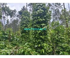 9.5 acre Coffee plantation sale in Chikmagalur dist