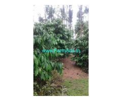 4 acre coffee estate with home stay Sale near Bettada Byaraweshwara temple