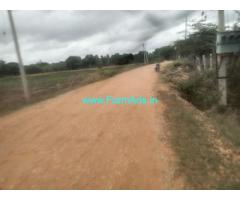 1.16 gunta Farm Land for sale near at Gedare village