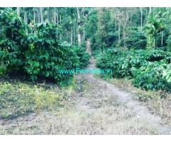 80 acres coffee estate for sale in Chikmagalur