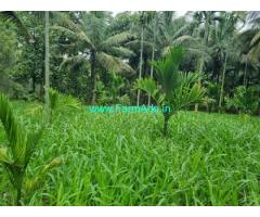 6.16 Guntas Farm Land for Sale 20kms from Bangalore