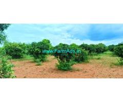 1 Acre 12 Gunta Mango Farm For Sale Near Kolar Srinivasapura Road