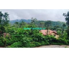12 acre plantation for sale In between Mudigere and Kalasa