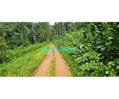 90 acres coffee estate with Bungalow for sale near Chikmagalur