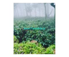 1 acre coffee plantation for sale In MullayanaGiri