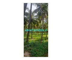 40 acres of coconut farm for sale near Theni