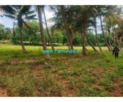 2 acres Coconut Farm land Sale near Challakere