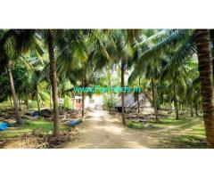 18 acres Well maintained coconut farm for sale in Udumelpet
