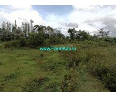 4 acre plain land for sale in Chikmagalur