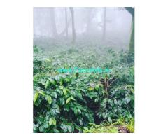 1 acre coffee plantation for sale at Giri area
