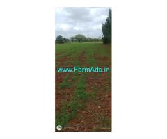 17 guntas Farm Land for Sale at Maralenahallli