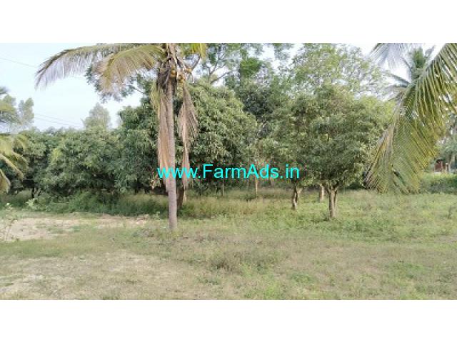 30 Gunta Farm Land for Sale at Bidadi near Namdharis Seeds