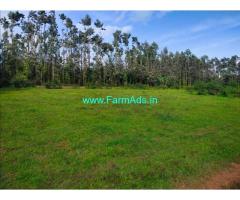 2 acre Farm Land for sale for Sale near Belur